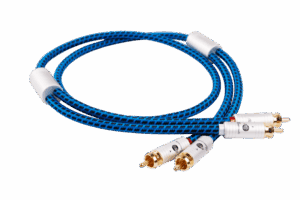 Blueberry SIGNAL.cinch2 (BB-005)