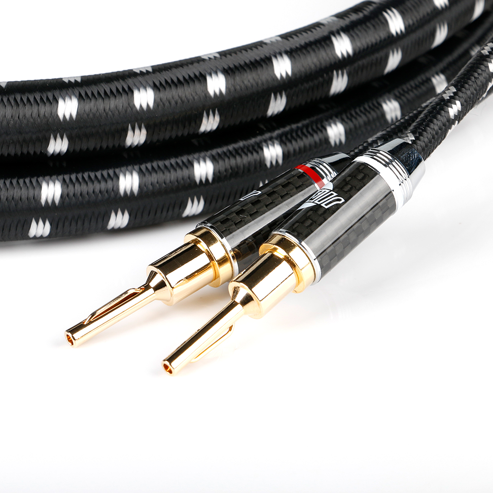 Vergoldete Stecker Evolution BLACK.sonic-13 (BEB-2013) mit Carbonhülse