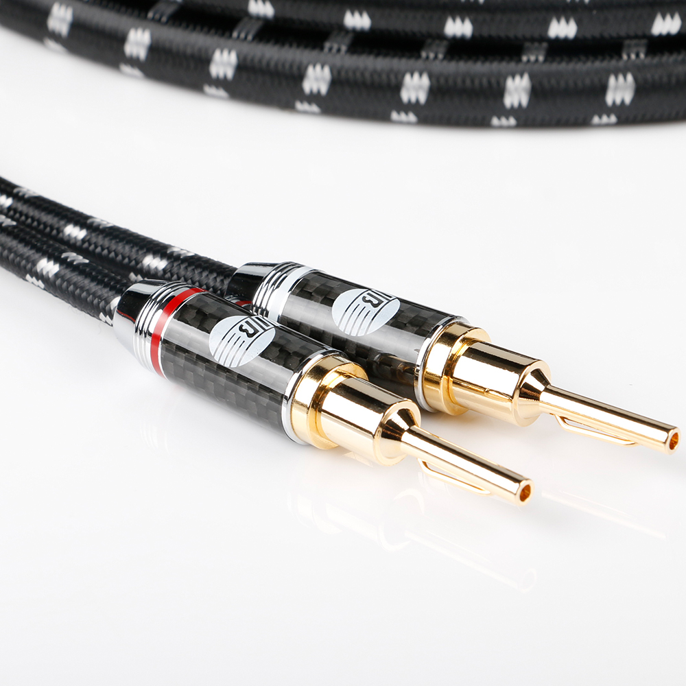 Vergoldete Stecker Evolution BLACK.sonic-16 (BEB-2016) mit Carbonhülse