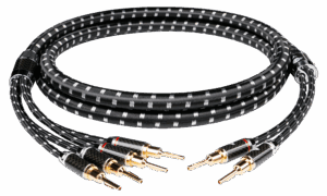 Evolution BLACK.sonic-17.biWire (BEB-2024)