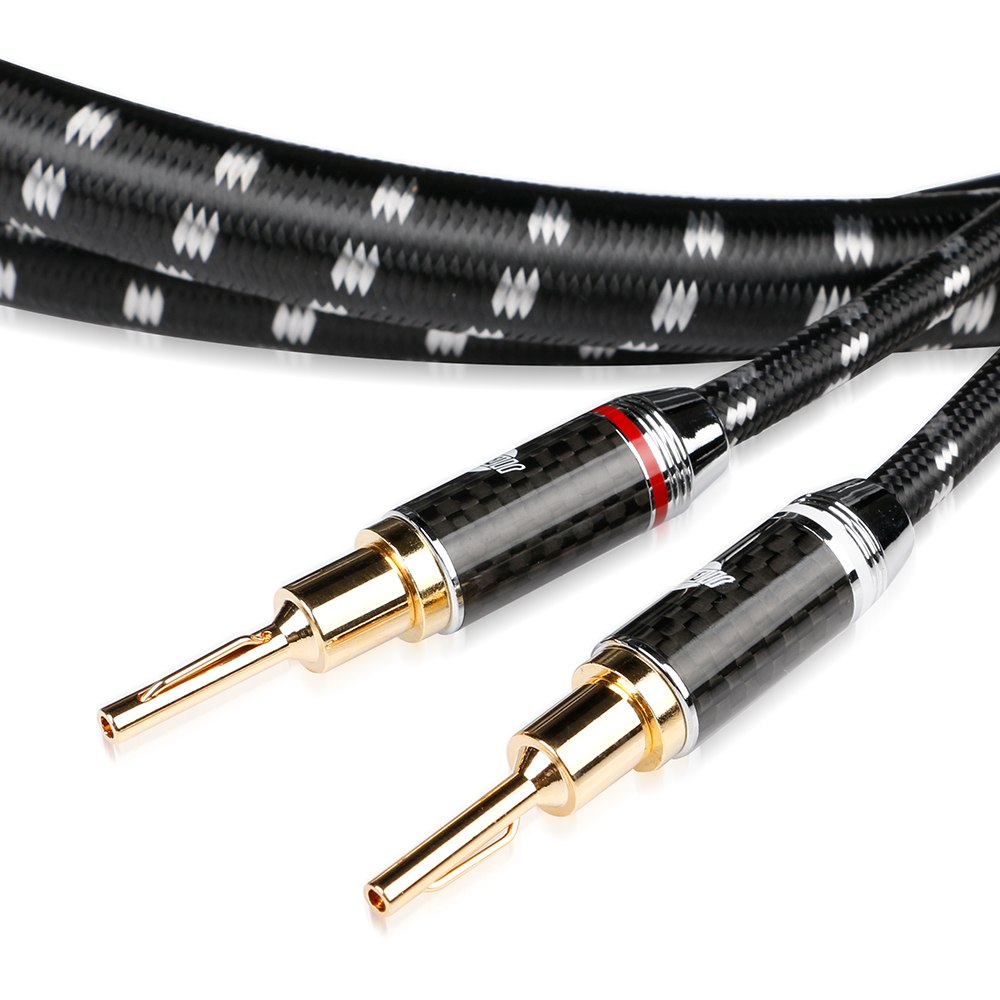 Vergoldete Stecker Evolution BLACK.sonic-17.biWire (BEB-2024) mit Carbonhülse