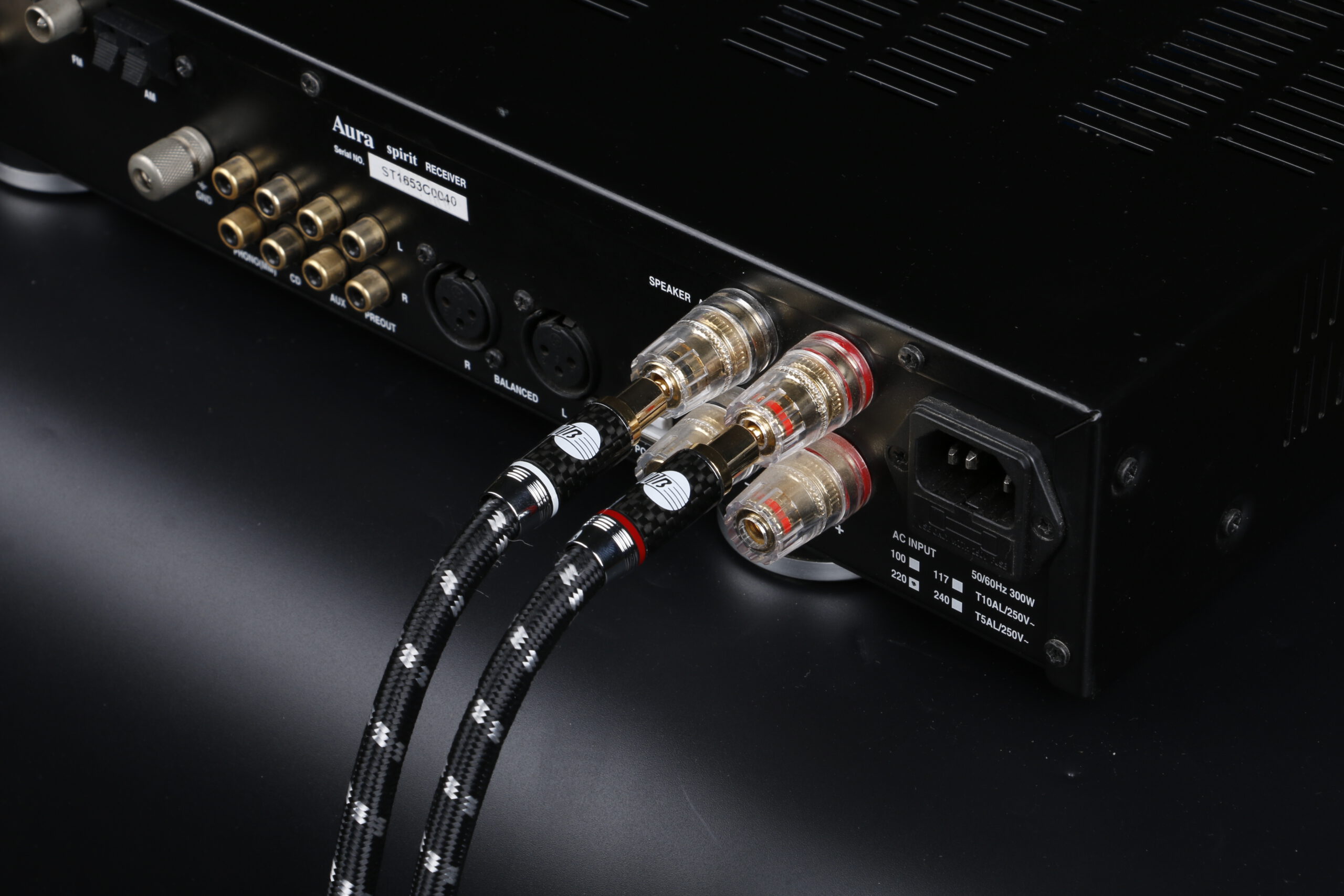 Anschluss hochwertiger Lautsprecher mit Evolution BLACK.sonic-25