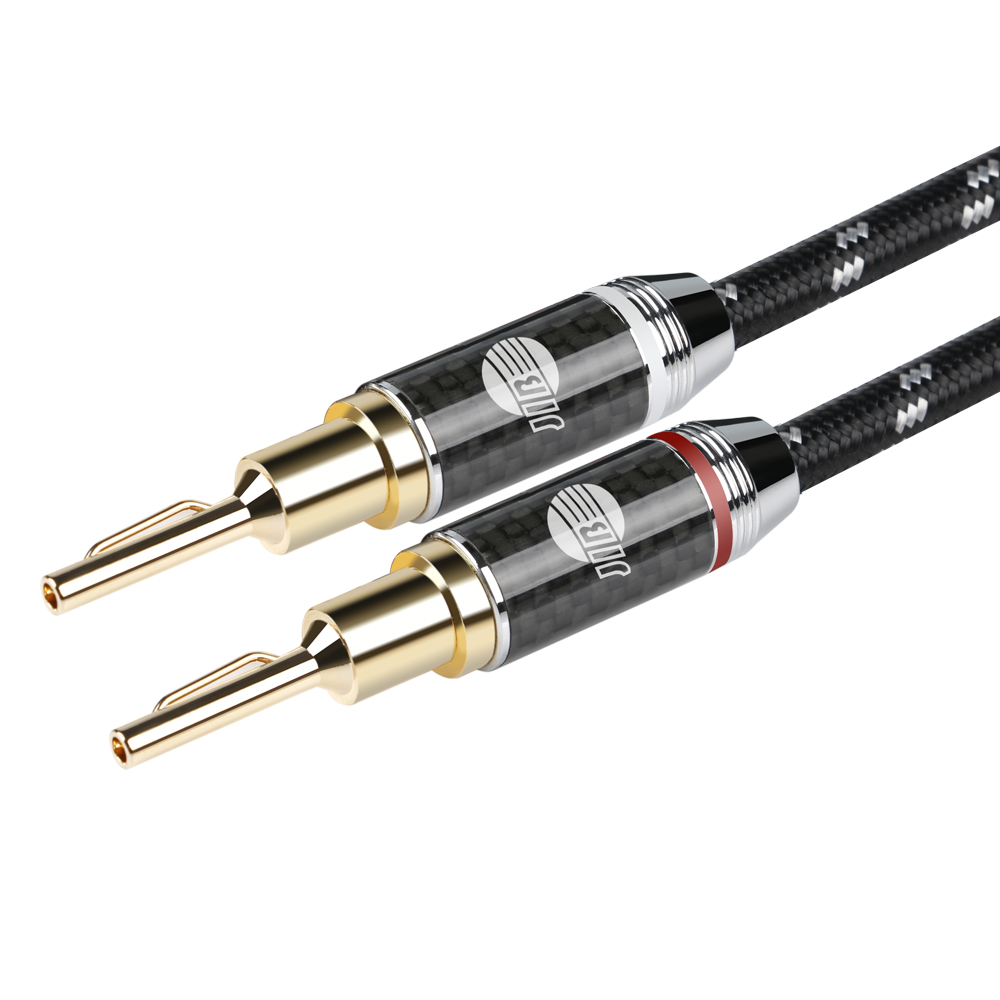 Vergoldete Carbon-Stecker Evolution BLACK.sonic-25 (BEB-2025)