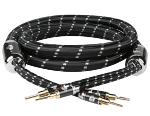 Evolution BLACK.sonic-25 (BEB-2025)