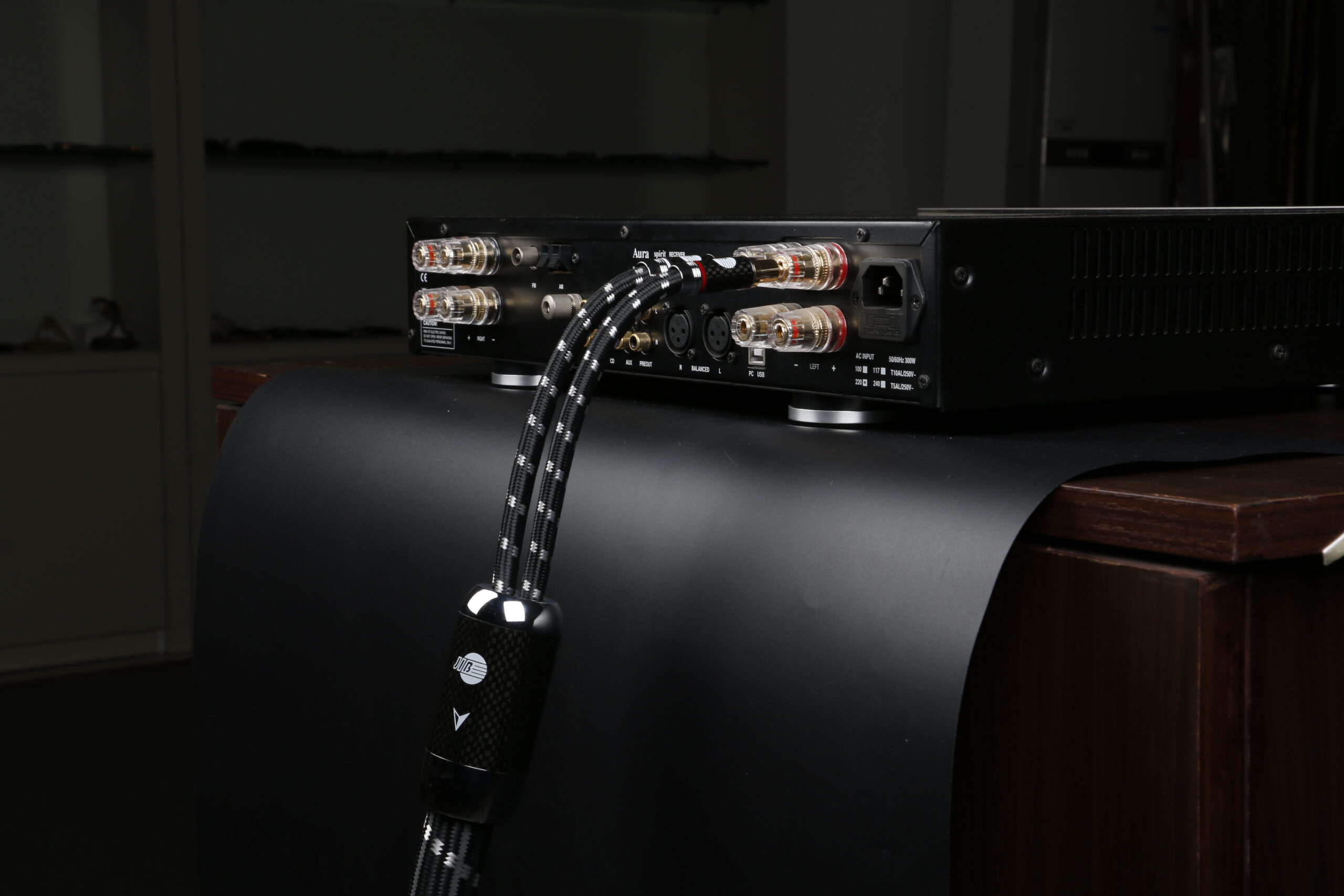 Anschluss hochwertiger Lautsprecher mit Evolution BLACK.sonic-25